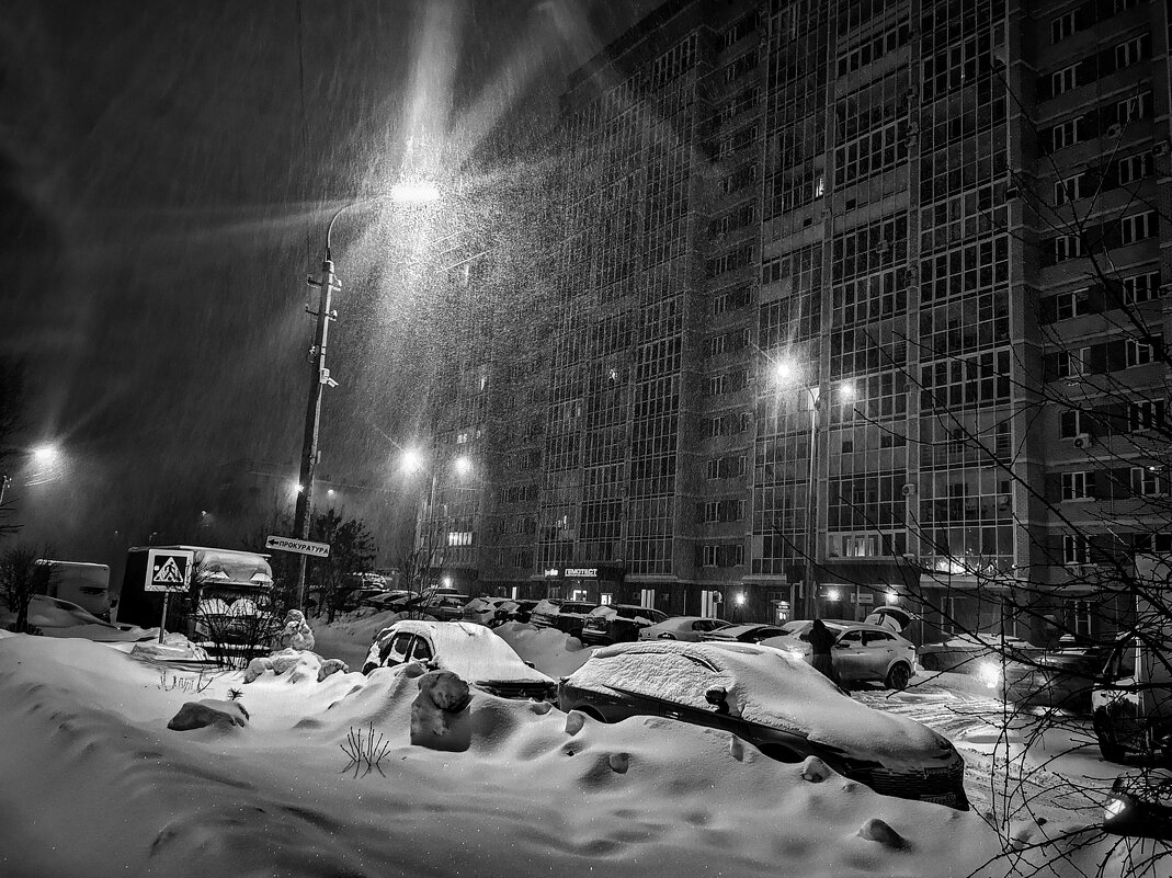 **** - Алексей Архипов