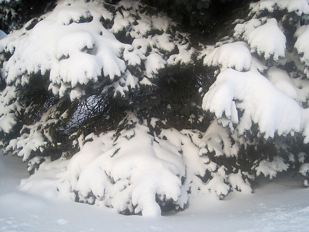 Замело - Елена Семигина