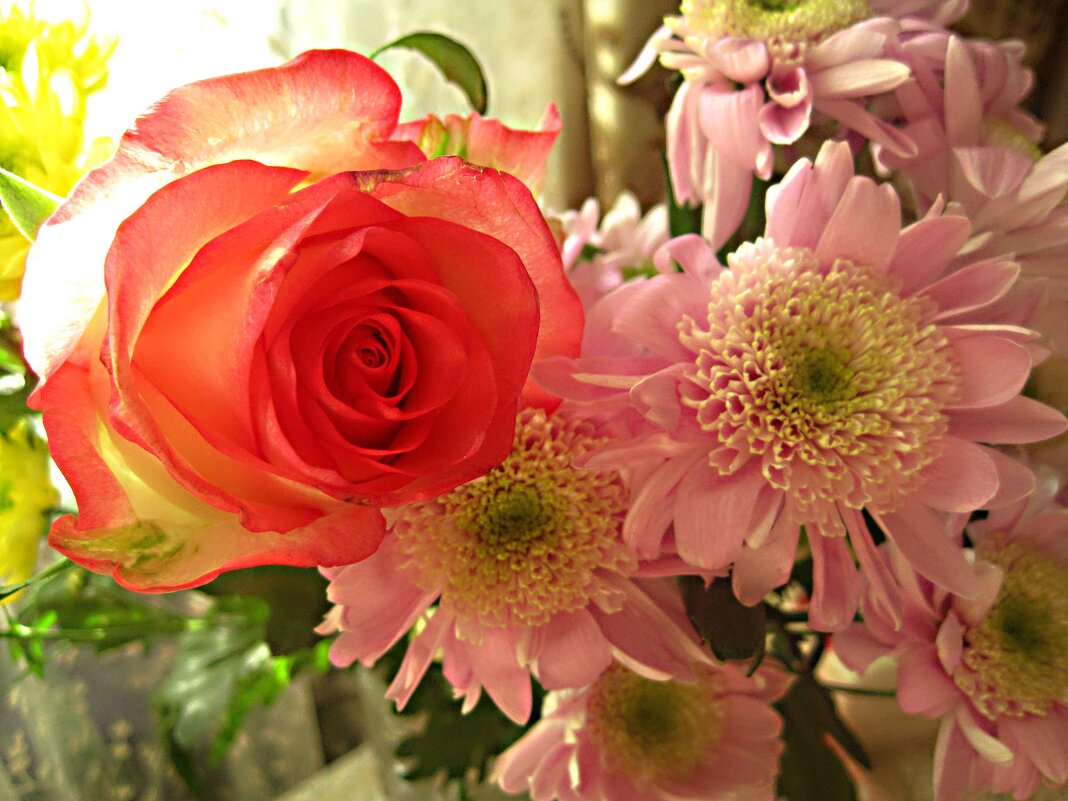 Ждем весну - Елена Семигина Ждем весну - Елена Семигина