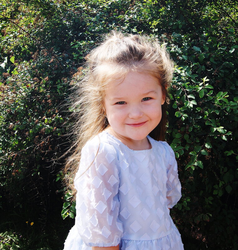 СТЕСНЯЮСЬ - Виктор Никитенко СТЕСНЯЮСЬ - Виктор Никитенко