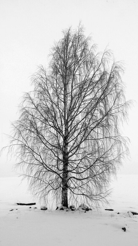 *** - Сергей Григорьев