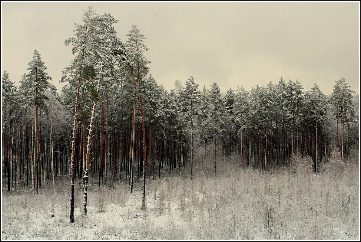 *** - Aleksandr Gal *** - Aleksandr Gal