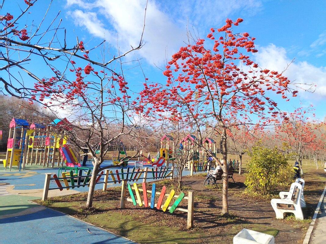 Детская площадка - Надежда 