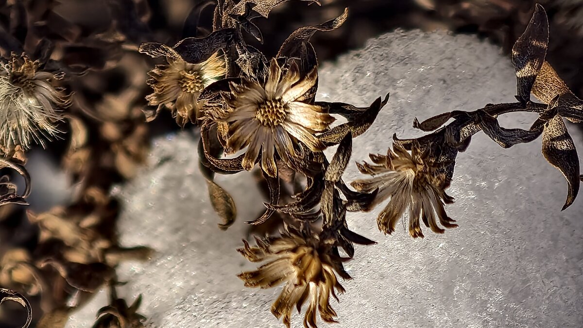 Все что осталось от лета - Мариша Все что осталось от лета - Мариша