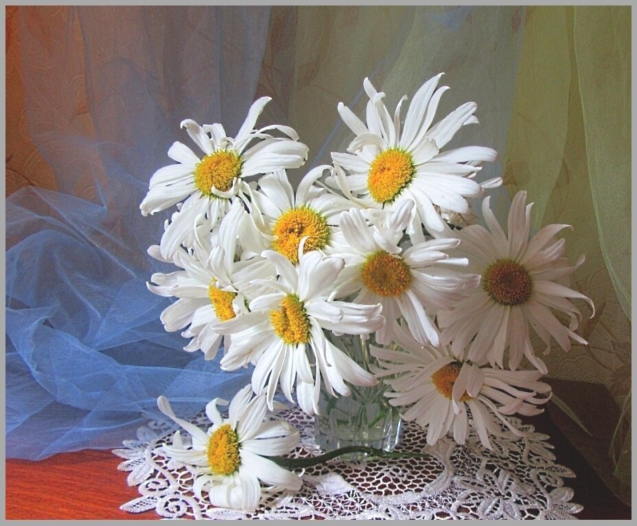 Просто ромашки... - Галина Кузьмина Просто ромашки... - Галина Кузьмина