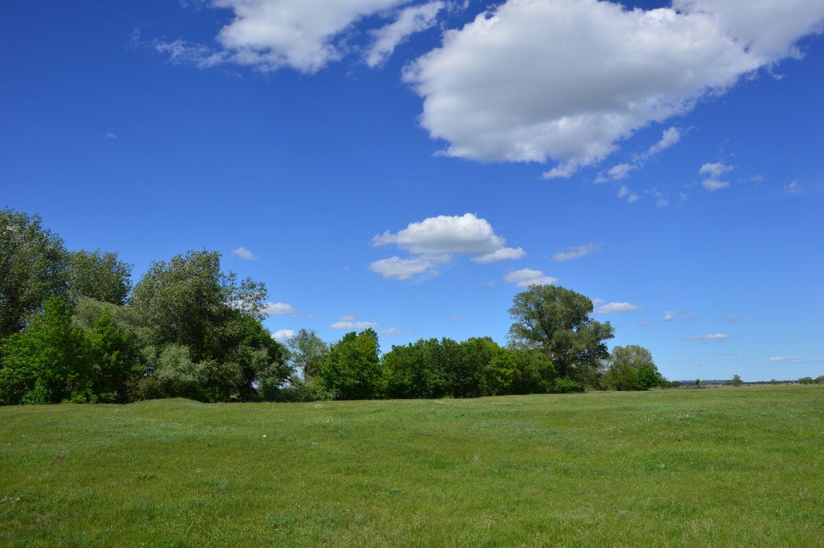 Донские зарисовки. - Виктор 