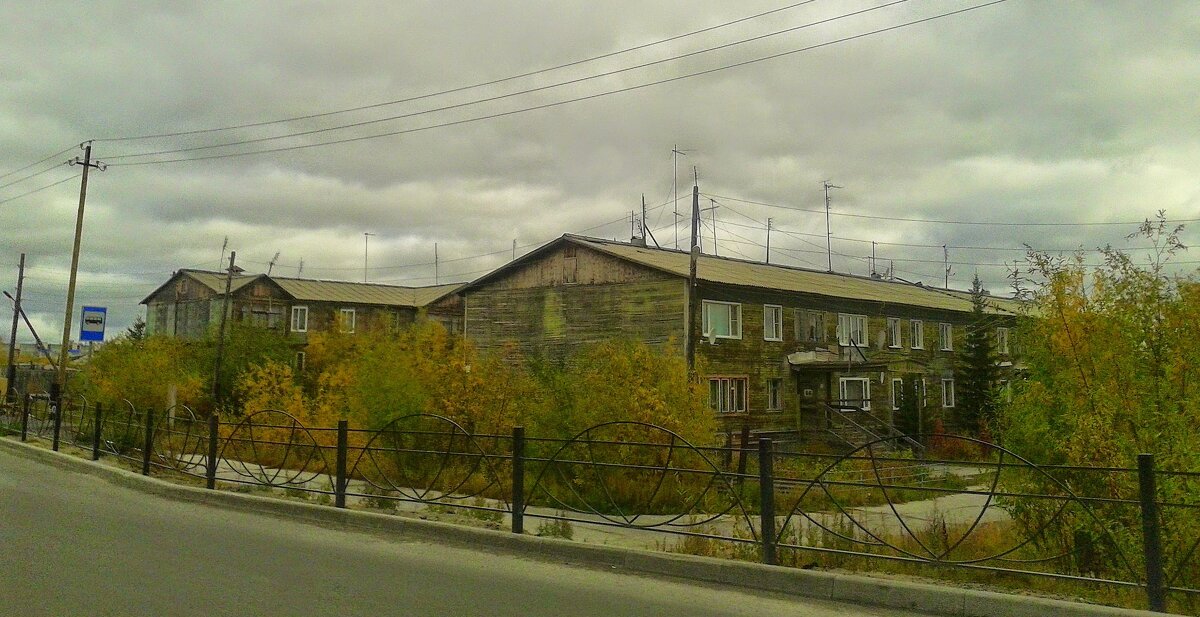 ЯМАЛ. ЛАБЫТНАНГИ - Tata Wolf