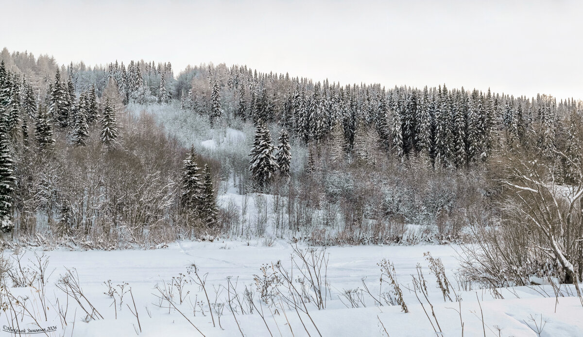 Река Ухта и ее высокий берег-гряда. Бывший спортивный лыжный спуск для слалома - Николай Зиновьев Река Ухта и ее высокий берег-гряда. Бывший спортивный лыжный спуск для слалома - Николай Зиновьев