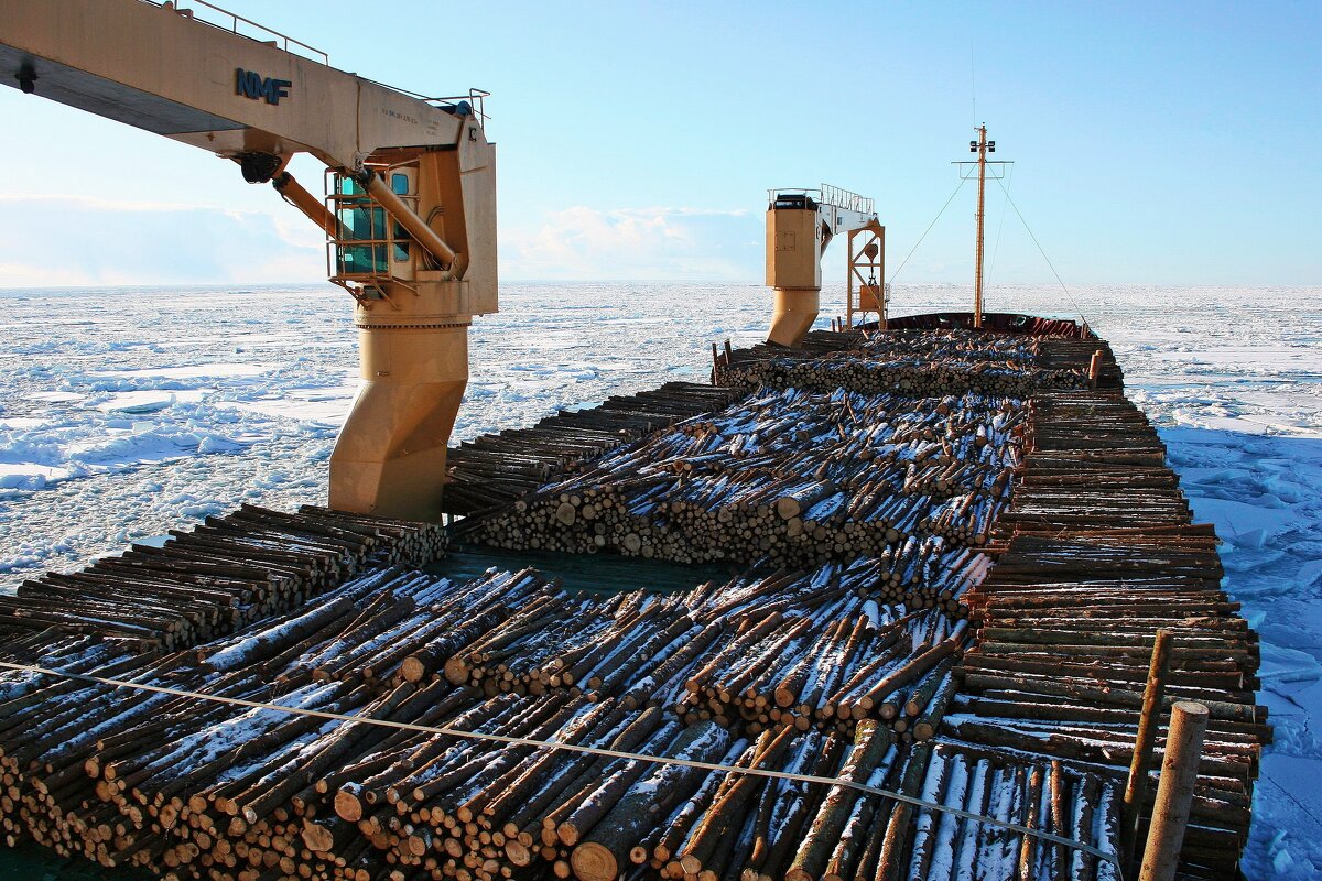 В ледяном плену - В.И 