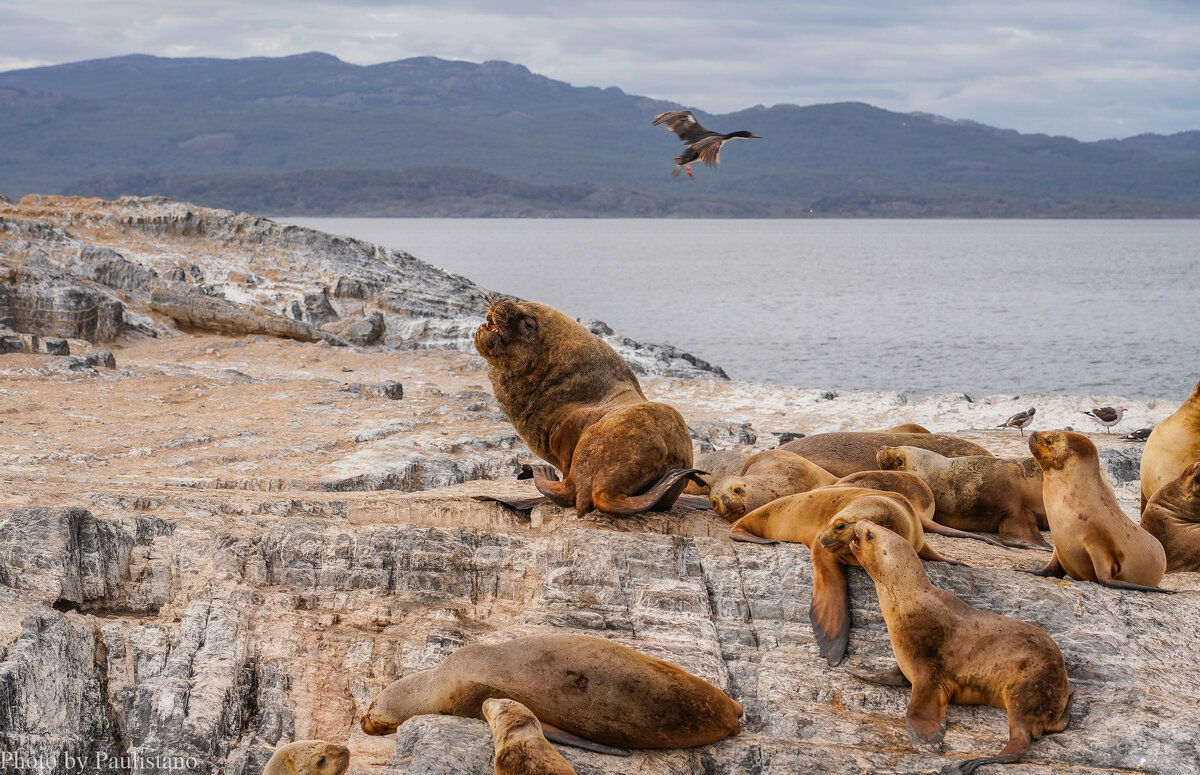 Возмущение... - Владимир Жданов