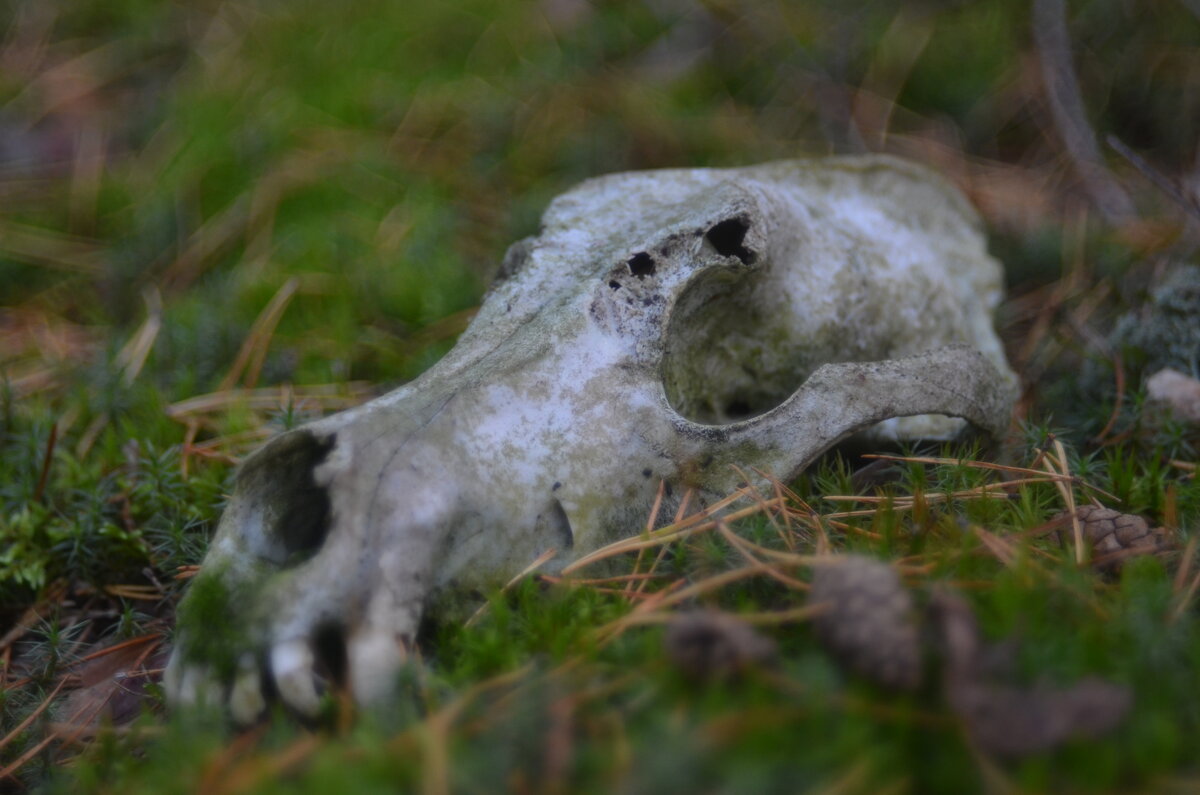 Кто то уже в прошлом... - Prizrak 777