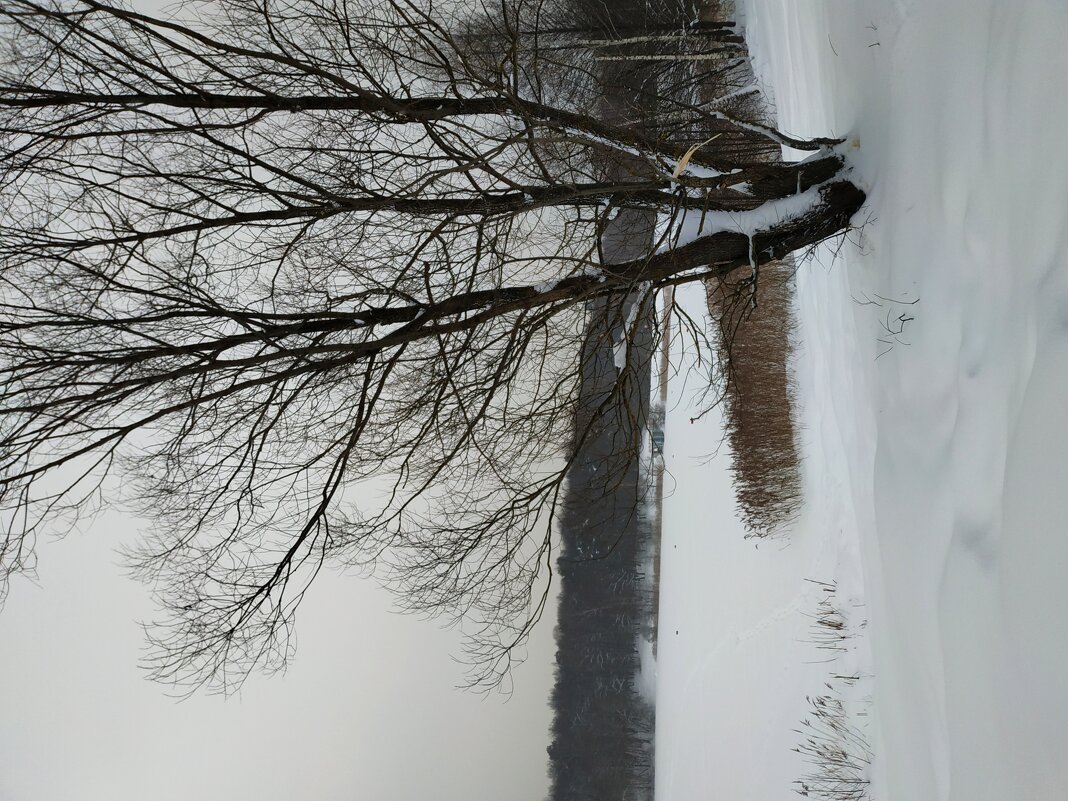 ЧБ графика зимы - Андрей Лукьянов