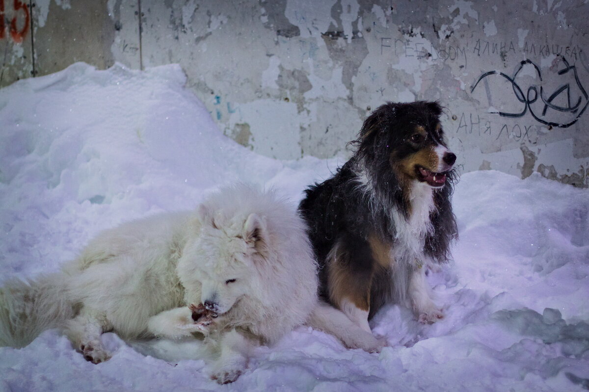 устали - Артём Евтюхов