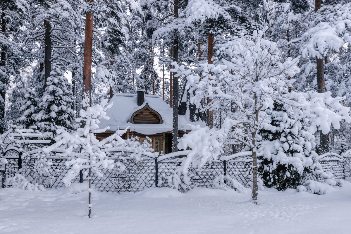 Зима - Владимир Колесников