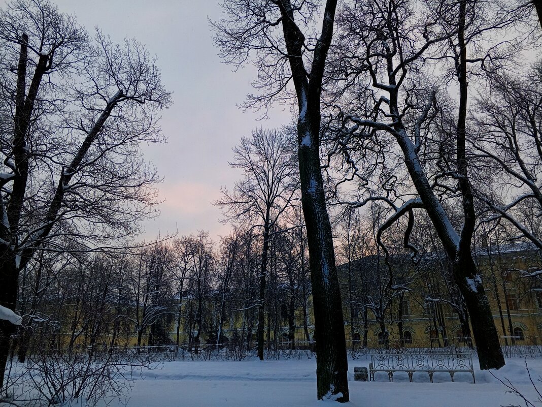 Рассвет - Сапсан 