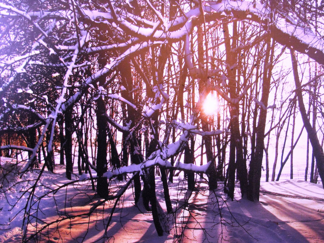 В солнечный денёк - Людмила Смородинская