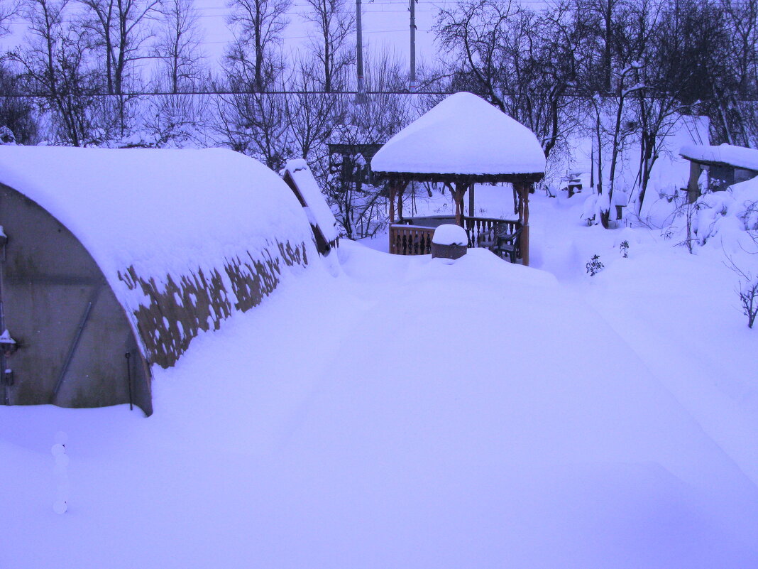 Засыпало весь сад - Людмила Смородинская