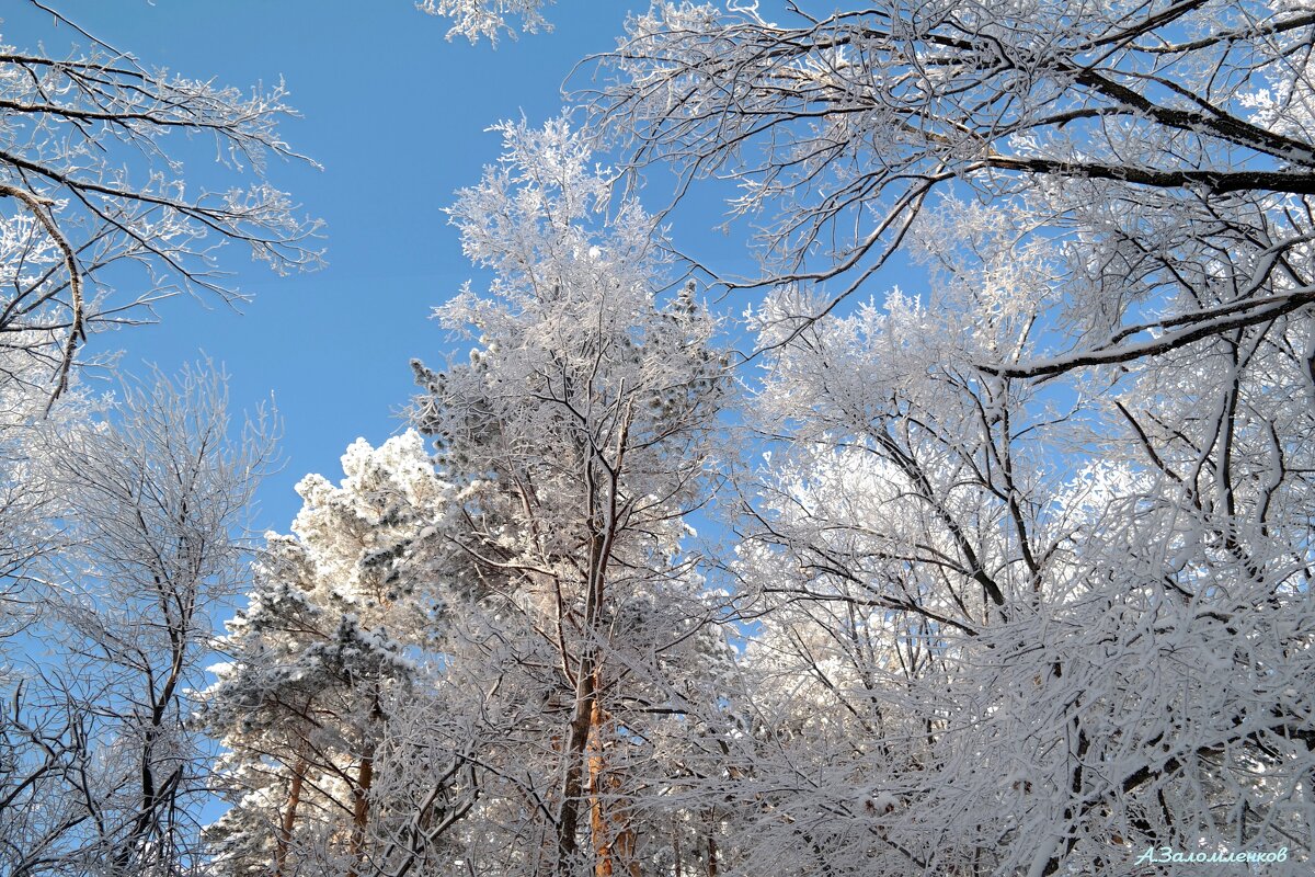 Про красоту зимы... - Андрей Заломленков Про красоту зимы... - Андрей Заломленков