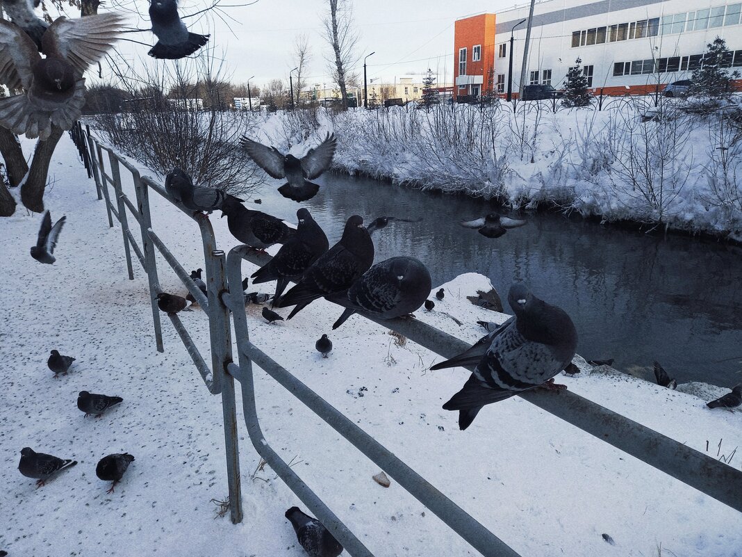 А у реки на автостанции. - Игорь Солдаткин