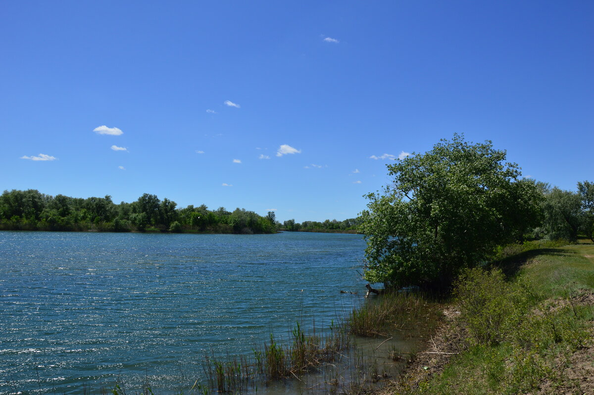 У реки. - Виктор 