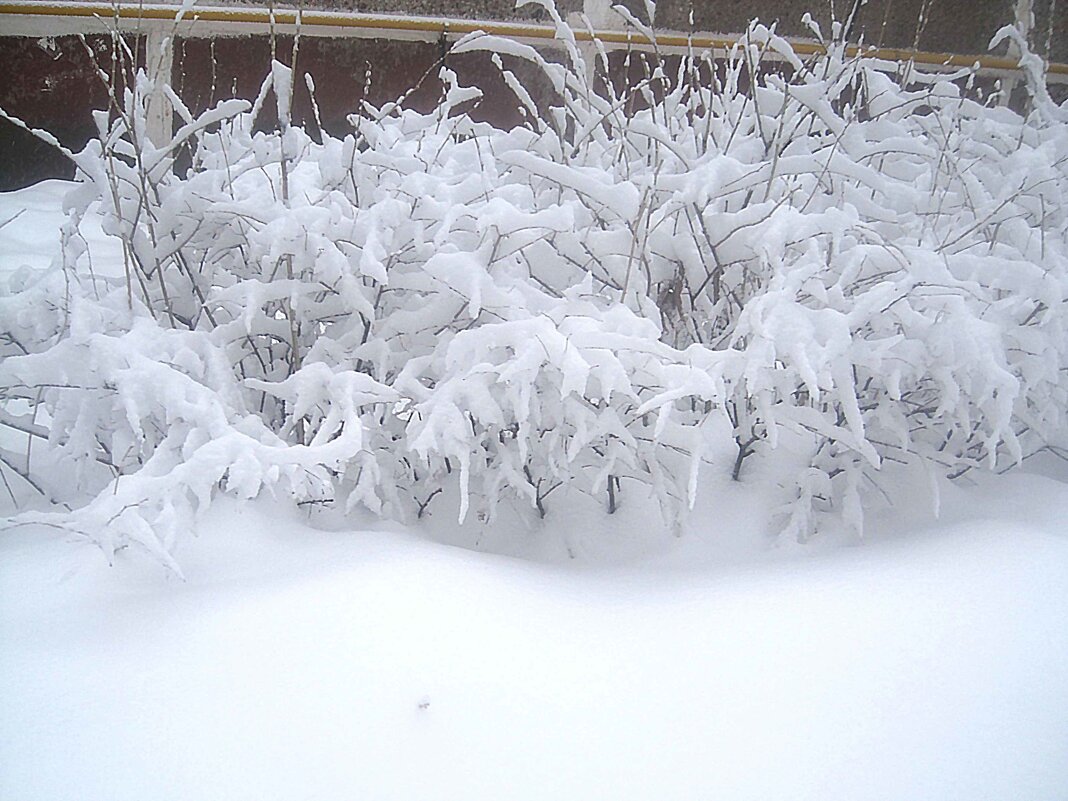 Замело - Елена Семигина