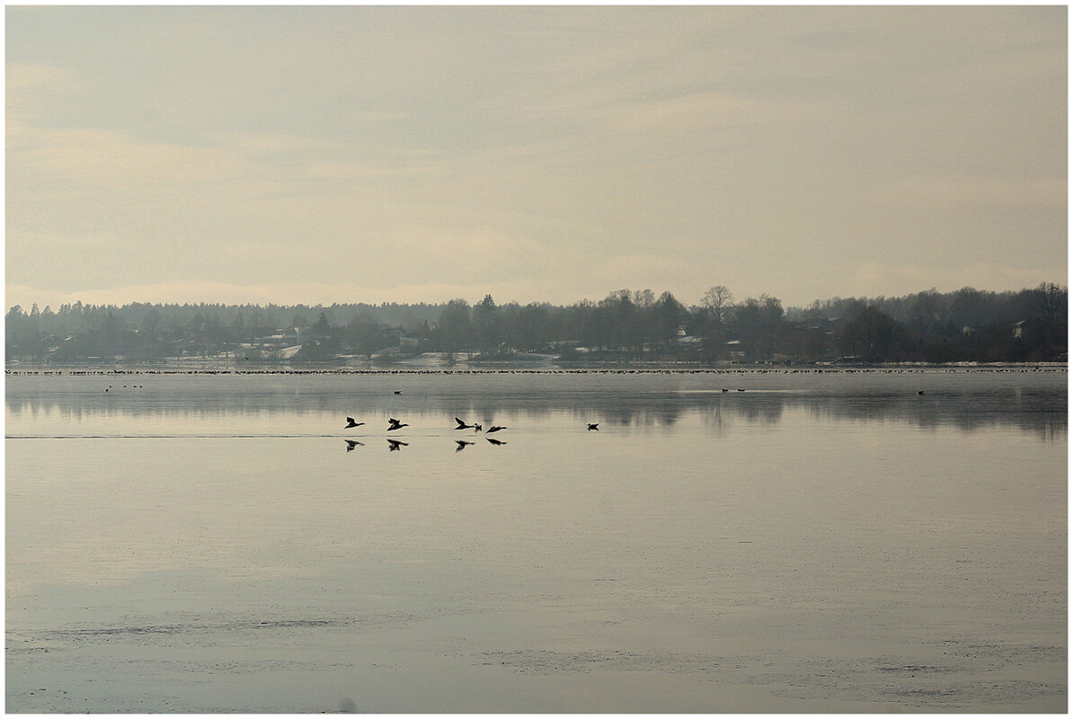 *** - Aleksandr Gal *** - Aleksandr Gal