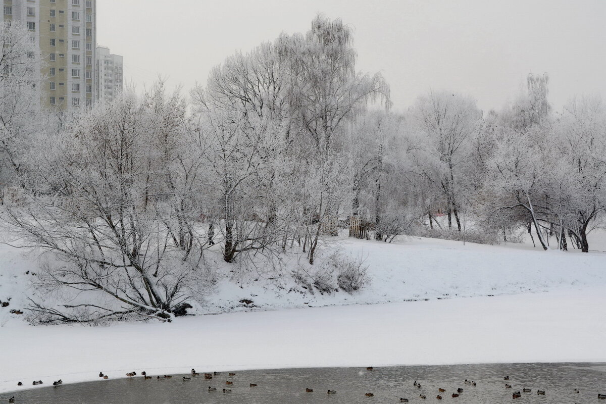 ... - Анастасия Смирнова