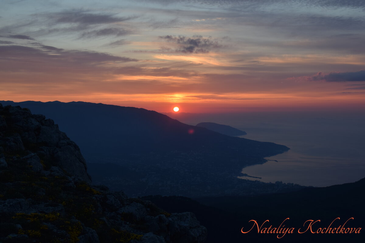 Природа Крыма - Amazing Cosmea