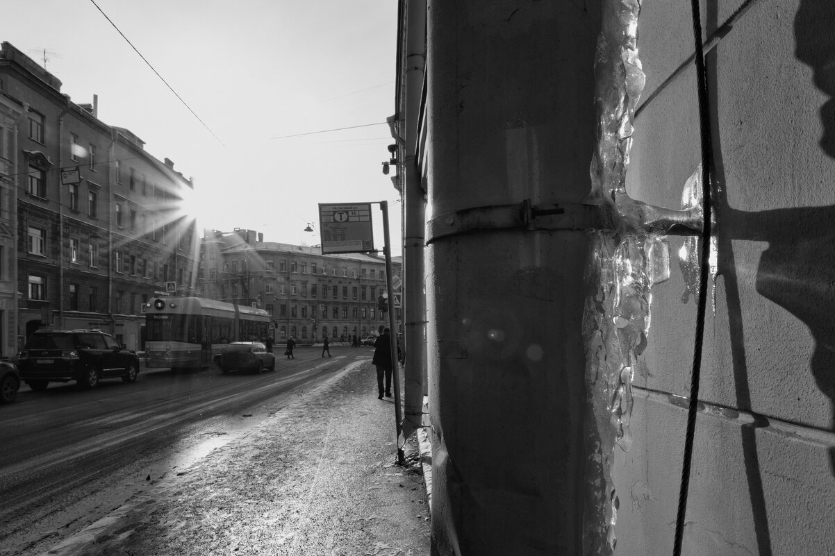 * - Светлана Воробьева