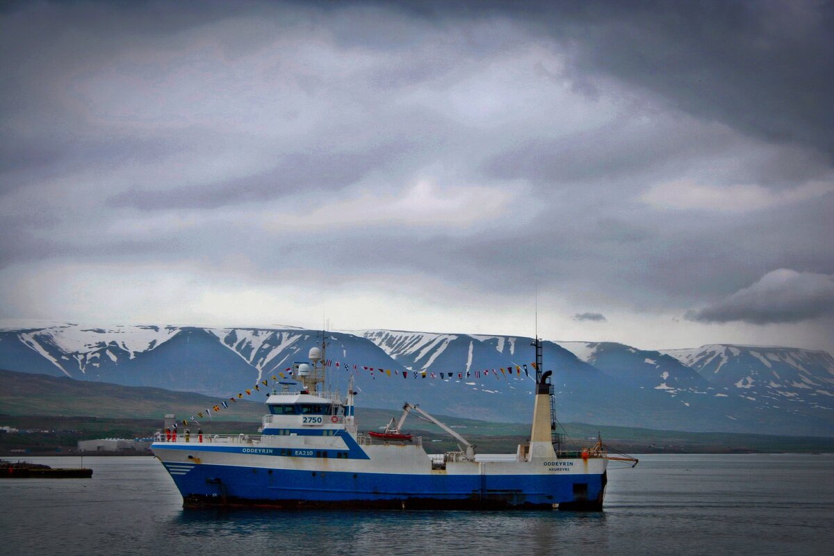 Приход с промысла - В.И 