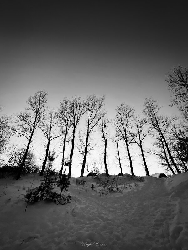 *** - Игорь Чичиль