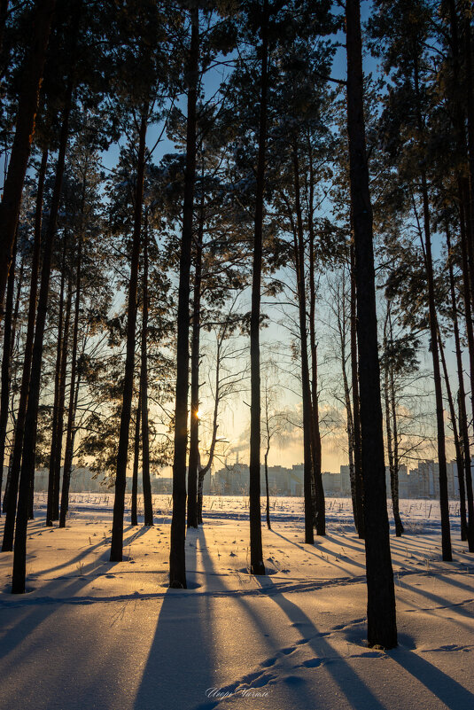 *** - Игорь Чичиль