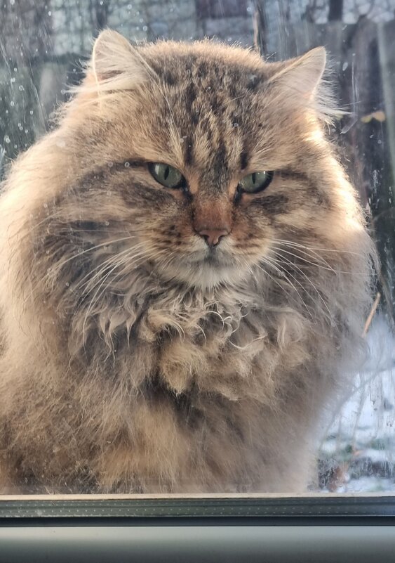 Упорное ожидание :) - Наталья Упорное ожидание :) - Наталья