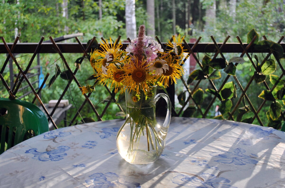 Август - AleksSPb Лесниченко