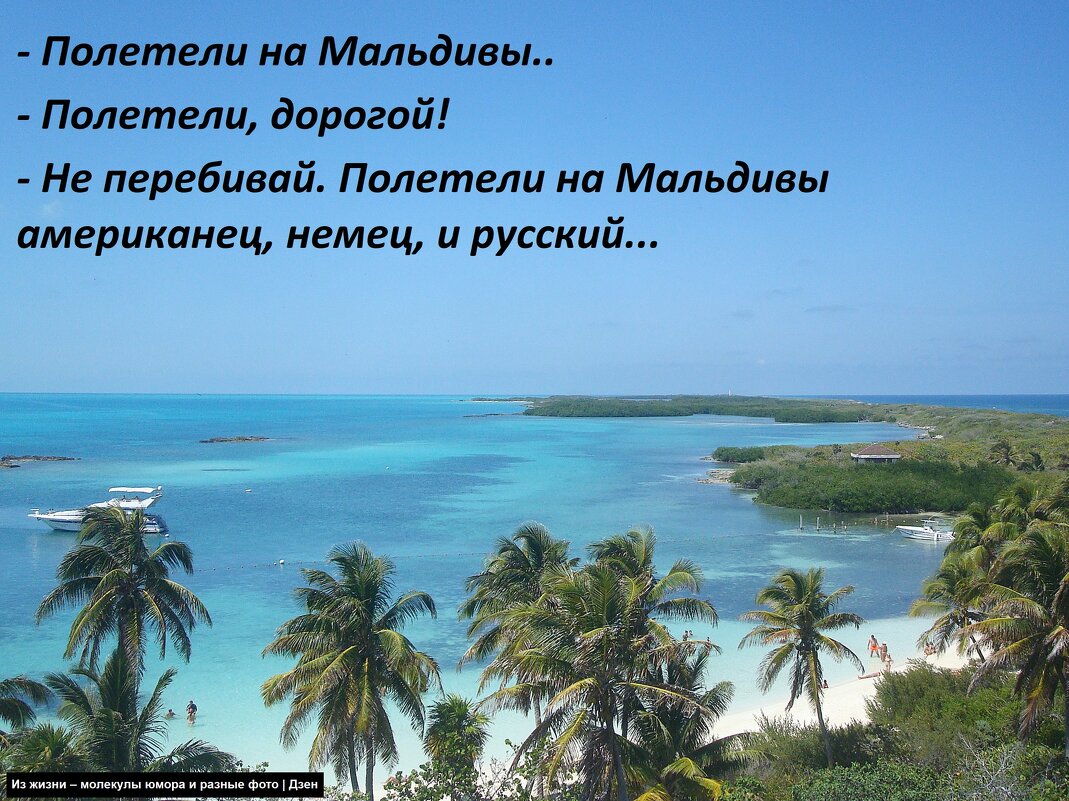 На острове Контой - svk *