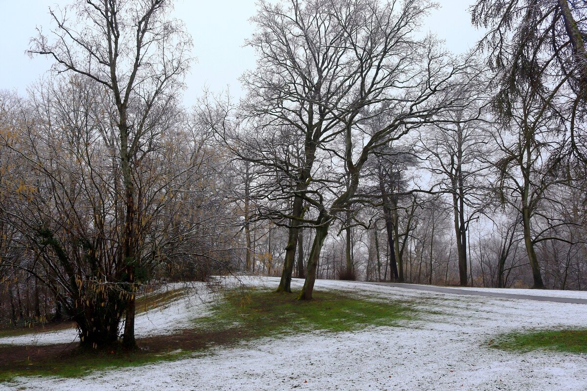 Пороша - Юрий. Шмаков