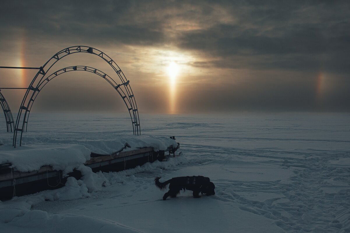 Солнечное Гало, Саратов, Волга, Утро! - Сергей В Солнечное Гало, Саратов, Волга, Утро! - Сергей В