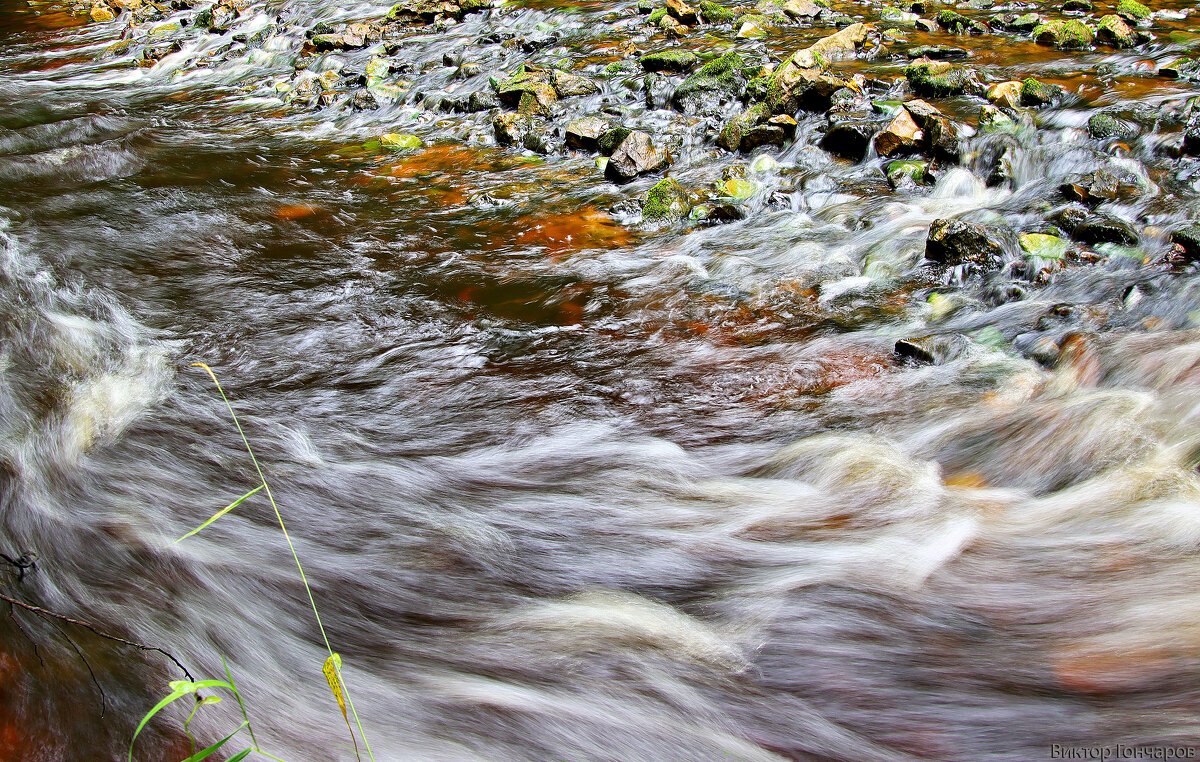 река Рагуша - Laryan1 