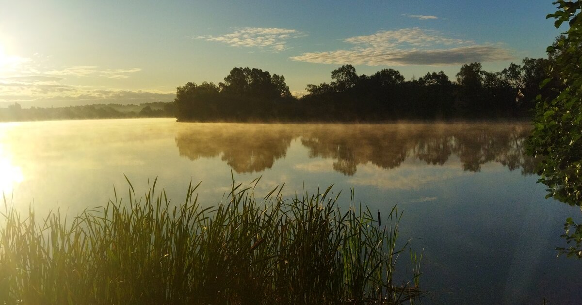 Конец лета. Ранним утром - Марина Виноградова