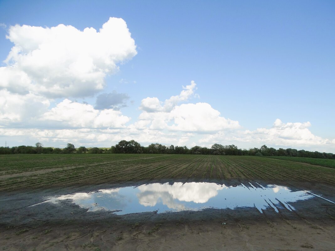 Из отражённого - svk *