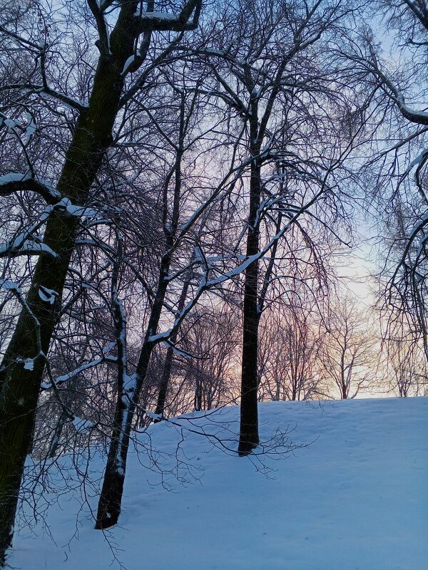 Рассвет - Сапсан 