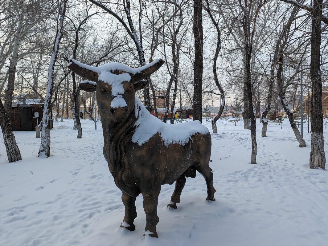 Бычок... - Андрей Хлопонин