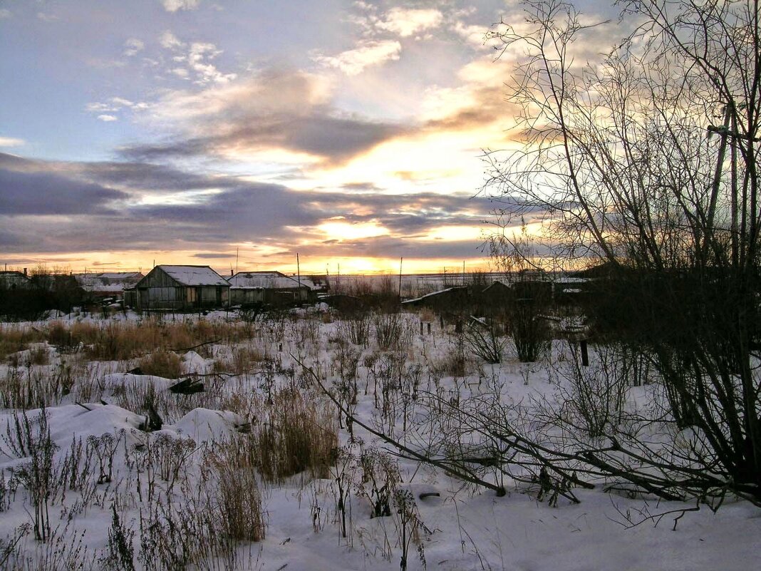 ПОЛЯРНАЯ НОЧЬ ЛАБЫТНАНГИ. ЯМАЛ - Tata Wolf