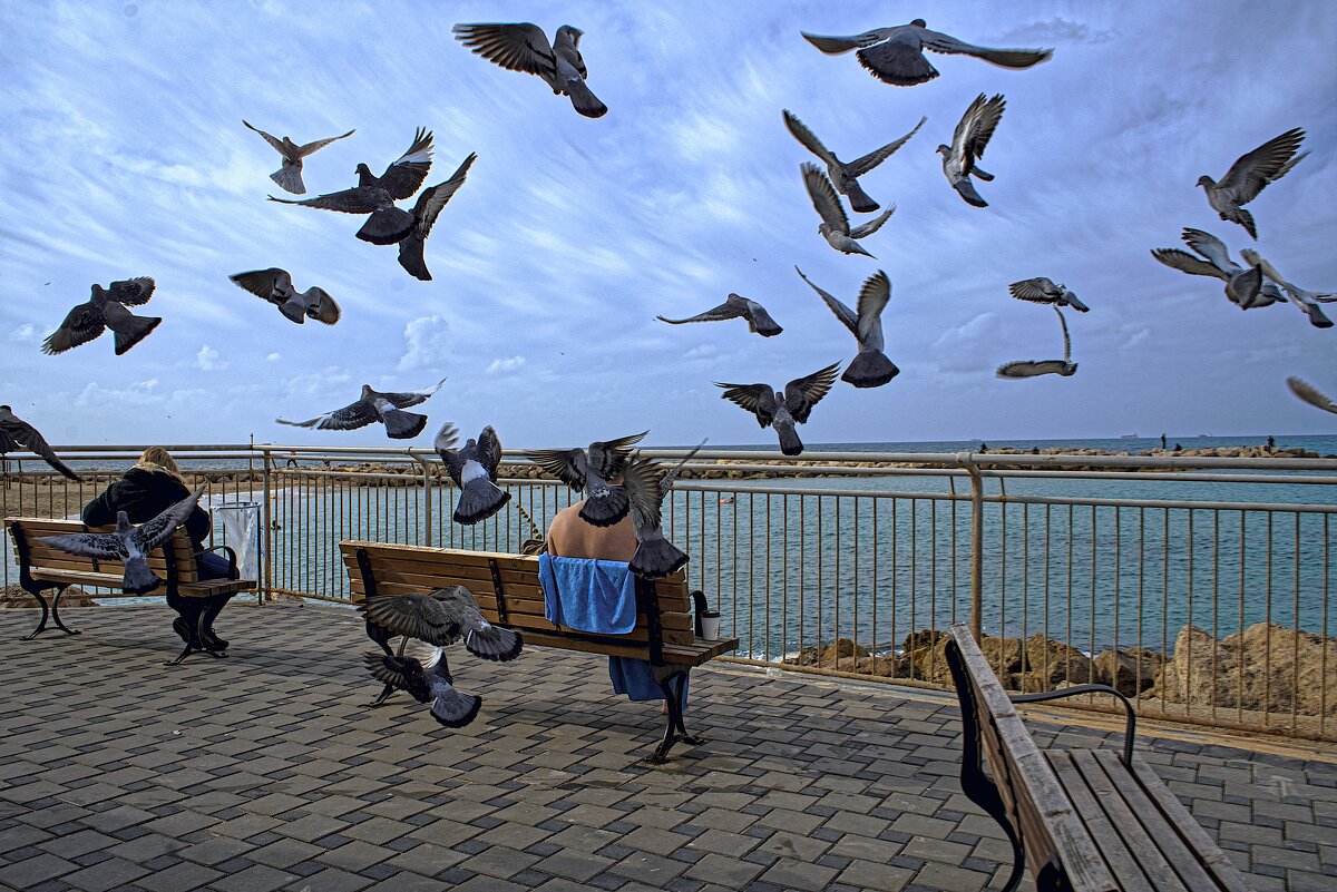 Израиль * Хайфа* Бат Галим. Угощай и я станцую 27.1.2026г - ujgcvbif Израиль * Хайфа* Бат Галим. Угощай и я станцую 27.1.2026г - ujgcvbif