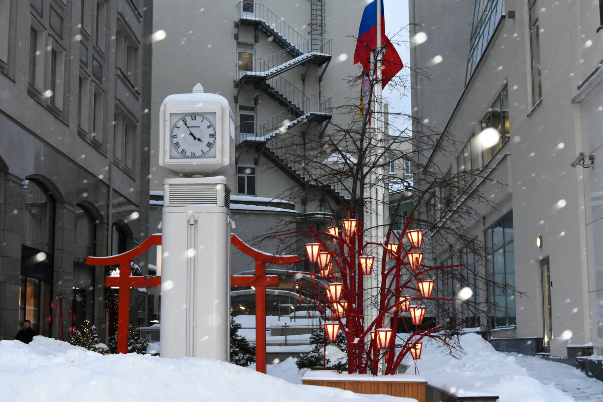 Новогодняя Москва. Путешествие в Рождество 2026. - Наташа ***** Новогодняя Москва. Путешествие в Рождество 2026. - Наташа *****