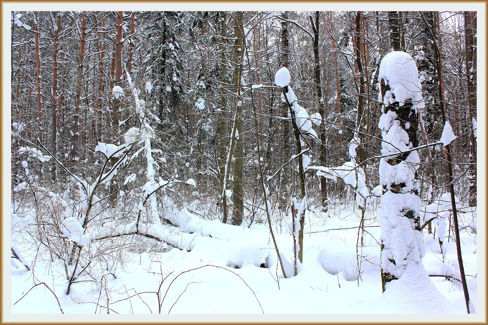 Сон зимнего леса - Alisia La DEMA Сон зимнего леса - Alisia La DEMA