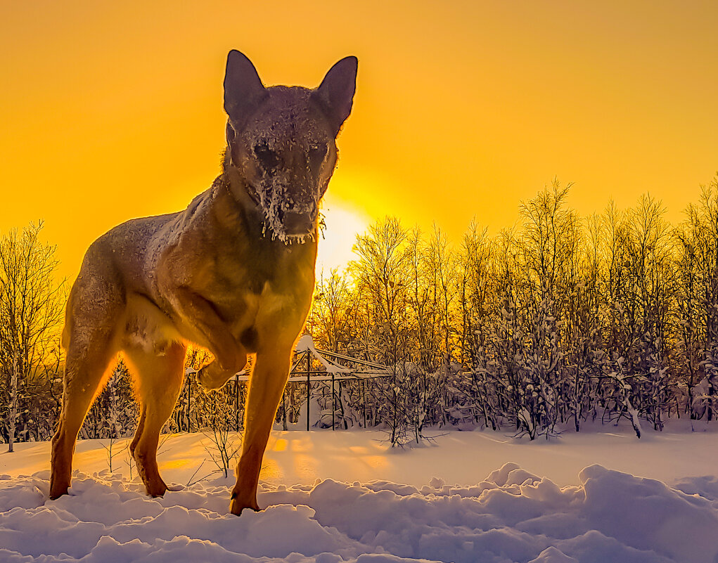 На прогулке - Андрей C