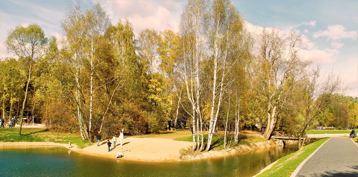 ОСЕННИЙ ПЕЙЗАЖ С БЕРЕЗАМИ - Валентина ОСЕННИЙ ПЕЙЗАЖ С БЕРЕЗАМИ - Валентина