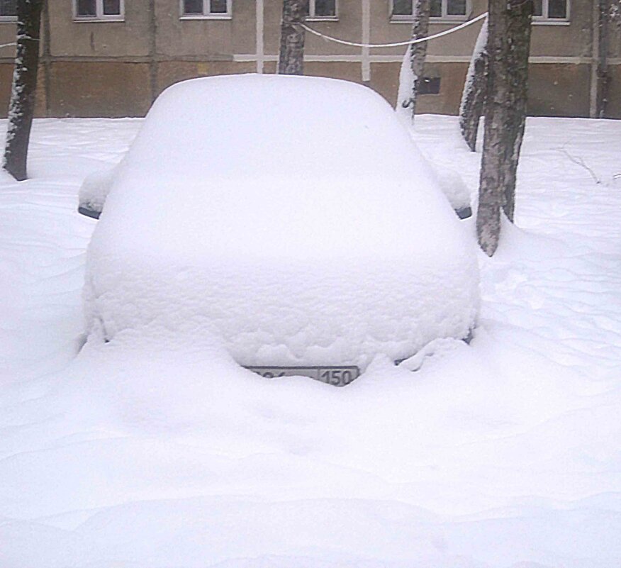 Подснежник - Елена Семигина