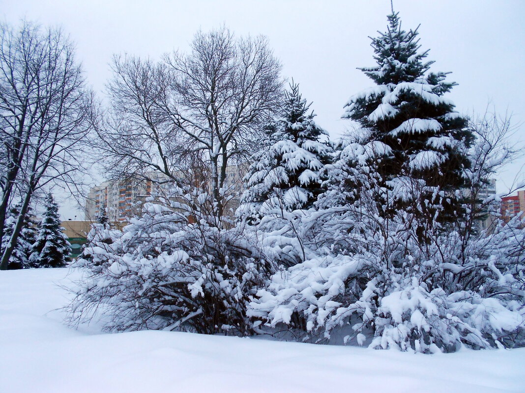 Зимние краски! - Ирина Олехнович Зимние краски! - Ирина Олехнович